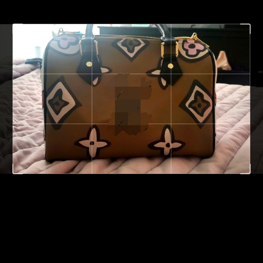 Speedy 25 bag. Comes with extra strap. Brown, White